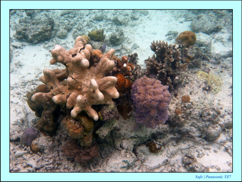 2009   07   Matakin 64